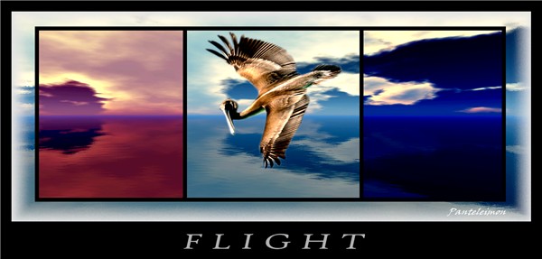 FLIGHT ( redux )