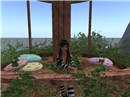 Stand_001