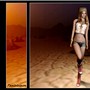 DESERT ROSE 