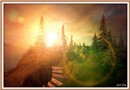 Forest #0
