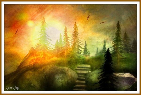 Forest #1