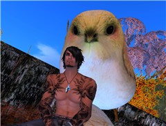 Snapshot_319