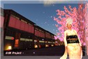 華