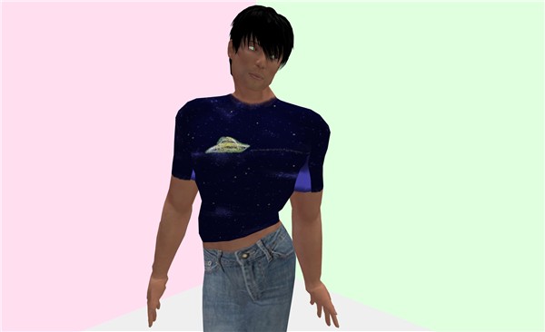 "Space Tea/jzebraa 2008" by Lord Haight - Torley Linden