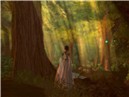 Chakryn Forest
