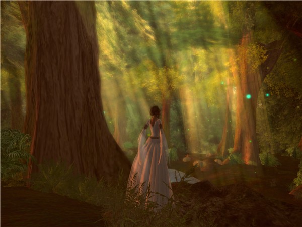Chakryn Forest