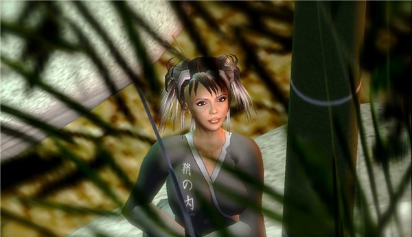 Gion Sim III