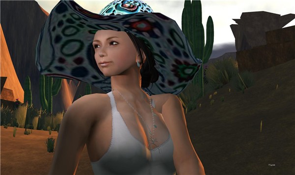 Snapshot_019