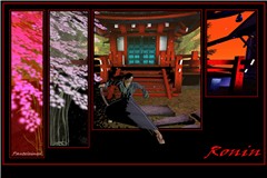 RONIN - GO RIN NO SHO  ( the book of five rings )
