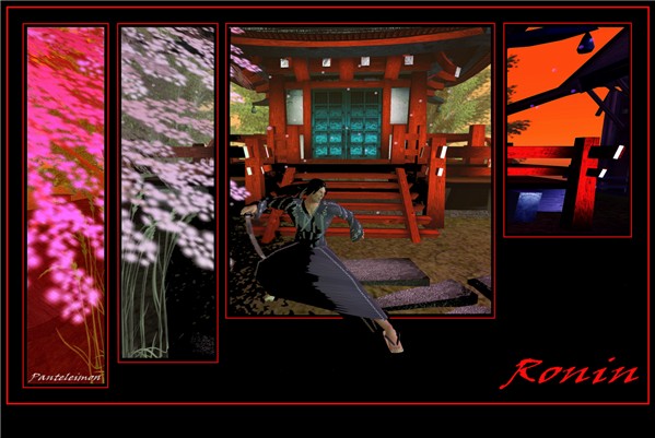 RONIN - GO RIN NO SHO  ( the book of five rings )