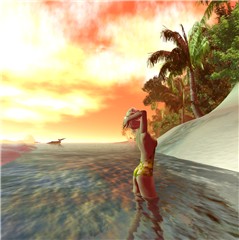 sunset