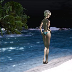 beach at night