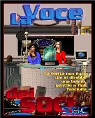 Voce dei soci stic (Discarica)