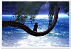 Dreams