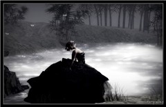 by the moonlight