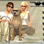Sim-glasses