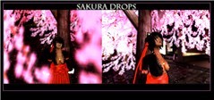 Sakura