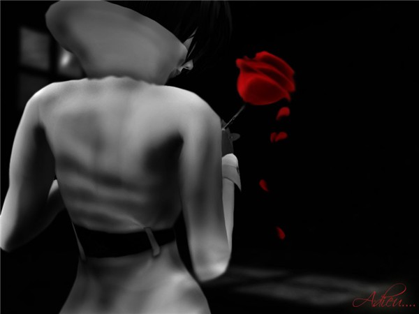Adieu