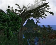 Bliss Garden