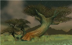 Twisted Tree's