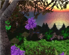 Acropolis Gardens Sunset