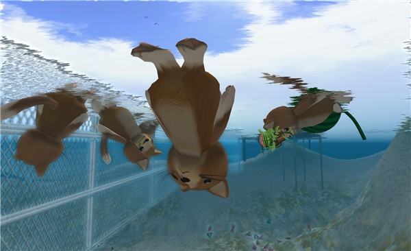 swimmingly good time with cats getting launched - Torley Olmstead