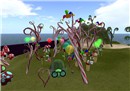 Candy Forest - Patchouli Woollahra