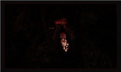predator