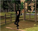 snapshot_d58c142b_958c28fc