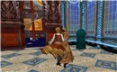 Wulfenbach_003