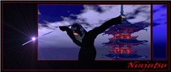 NINJUTSU