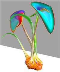 lilly 1