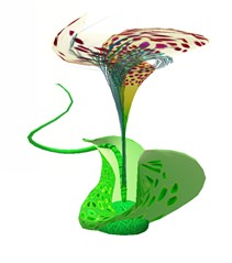 pod lilly 1