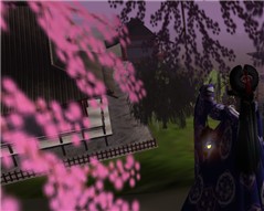 Seiyaoiran2
