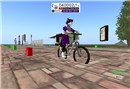 RFL 08 Pedometer