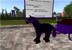 RFL 08 Horse Cart