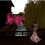 GION SNAP 2