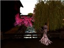 GION SNAP 2