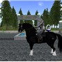 Snapshot_160