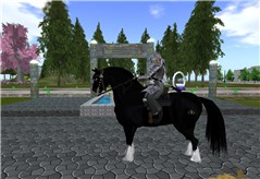 Snapshot_160