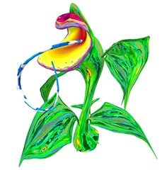 Arrow-leaved Orchid copy