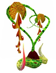 snake orchid copy