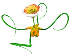 snakeroot copy