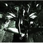 Fairy in the dark