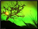 Green Relic