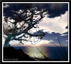 Tree Breeze