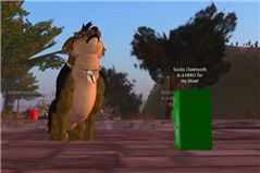 One last howl