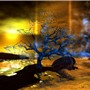 Obscurum Tree - Rain of Light