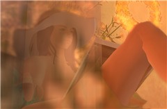Snapshot_043-080722