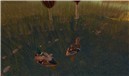 Ducks!
